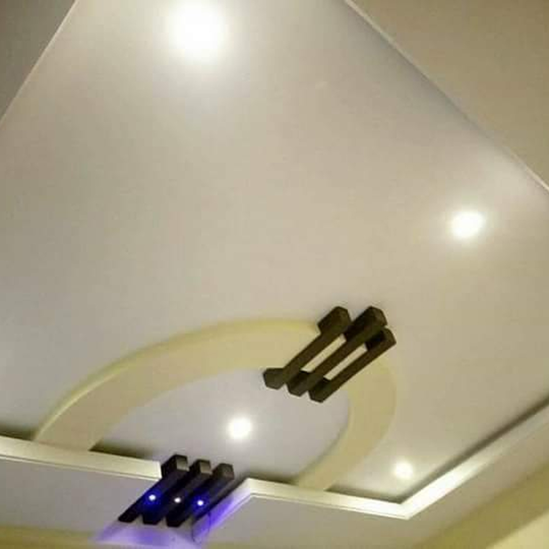 Ceiling Projects